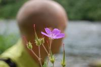 Bifogad bild: DSC_0053.JPG